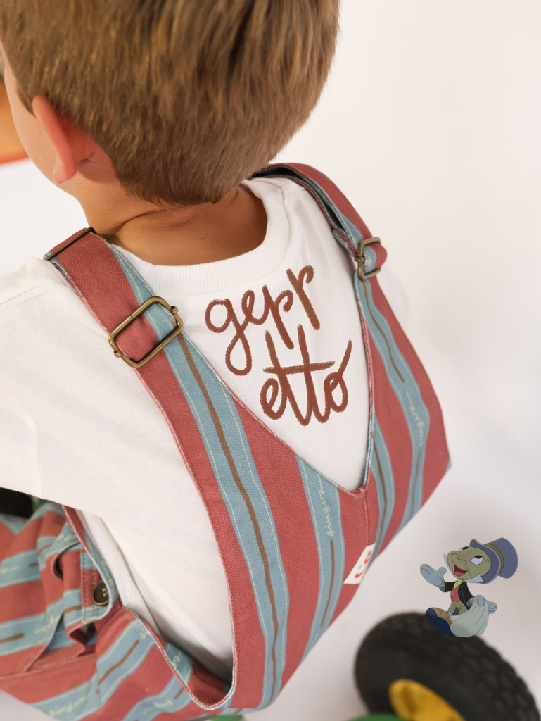 [ENDPEGEP2] Enterito Geppetto (2)