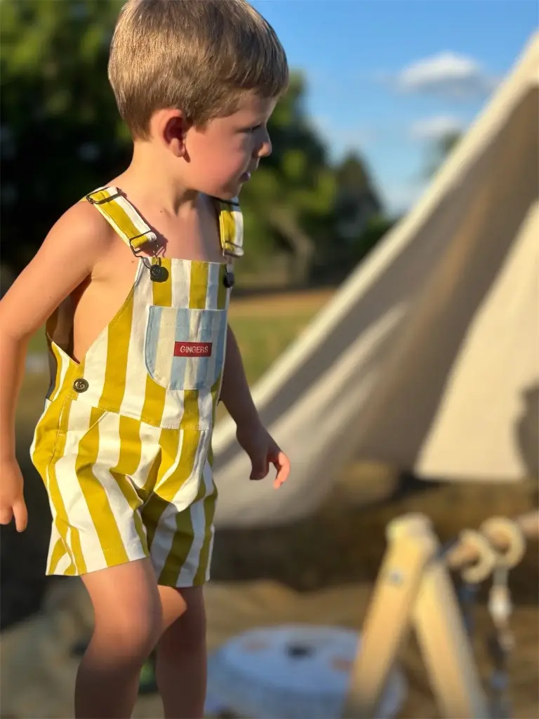 [315] RAYAS VERDES (1)